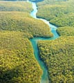 The longest river in the Amazon in South America