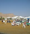 the beach of the Dead sea