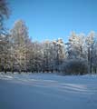 Pavlovsky Park in winter